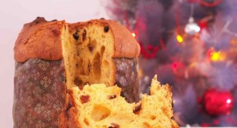 Coccola il tuo palato a Natale: i migliori panettoni artigianali da mettere a tavola
