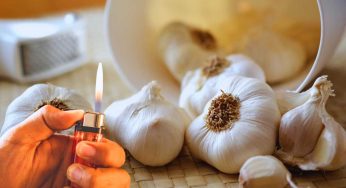 Aglio bruciato, ecco perché sta diventando il rimedio naturale più usato: da provare subito
